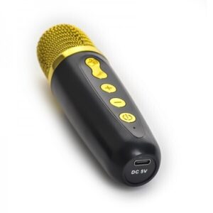خرید اسپیکر قابل حمل مدل ZX-03 کارائوکه | همراه با میکروفون بی‌سیم، بلوتوث، فلش، رم و نور LED | مناسب مهمانی و تمرین خوانندگی